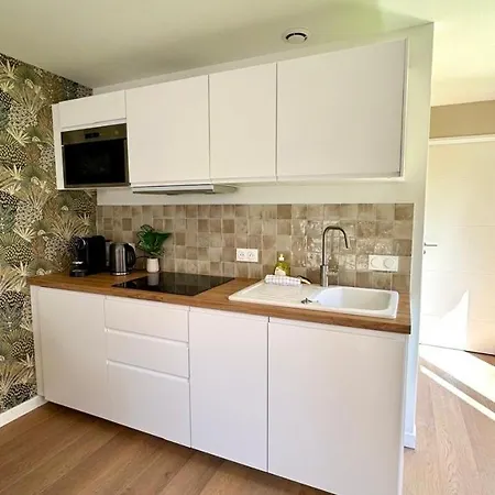 Levy - 1 Bedroom - Apartment