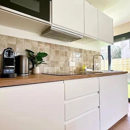 Levy - 1 Bedroom - Apartment
